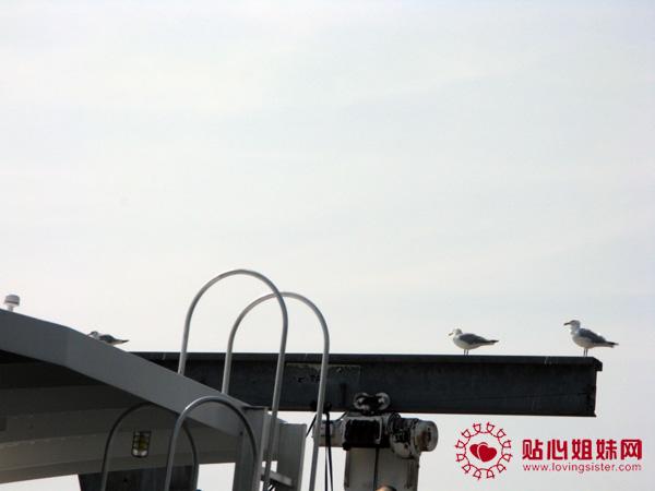 自由