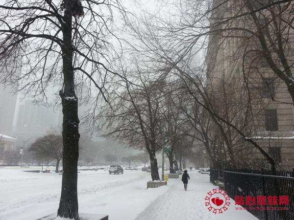 雪暴后的多伦多（之二）：静谧美丽的一面