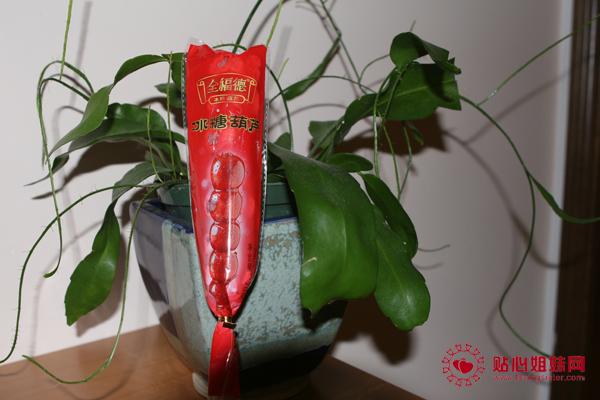 冰糖葫芦 童年的滋味