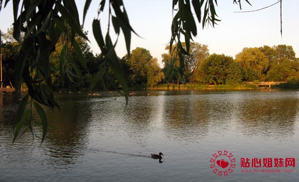 万锦-于人村选区系列报道之一：万锦-于人村选区范围重划 三位华人已宣布争取党内国会议员候选人提名