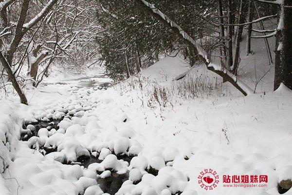 Toogood Pond Trail踏雪（二）：河流