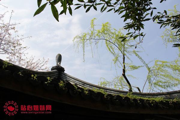 江南行（六）：檐上春