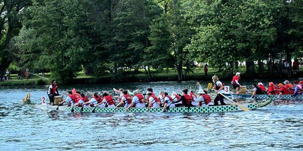 多伦多大学图书馆组队参加国庆节龙舟赛