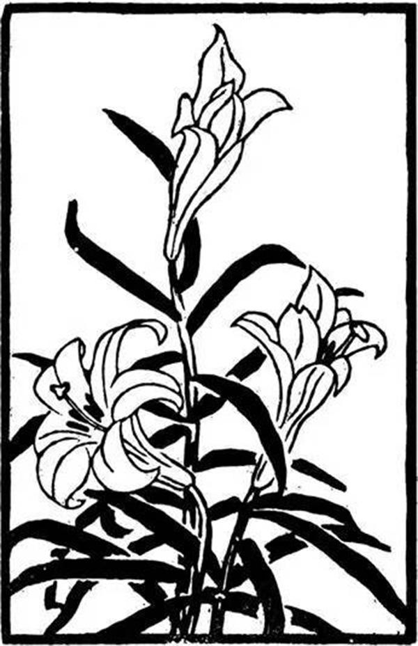 《姆妈, 看这片繁花》（二）玉兰花树