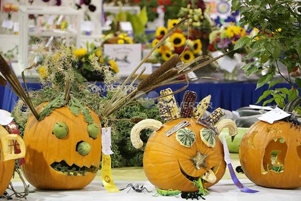 历史近一个半世纪的万锦农业博览会本年度展昨开幕