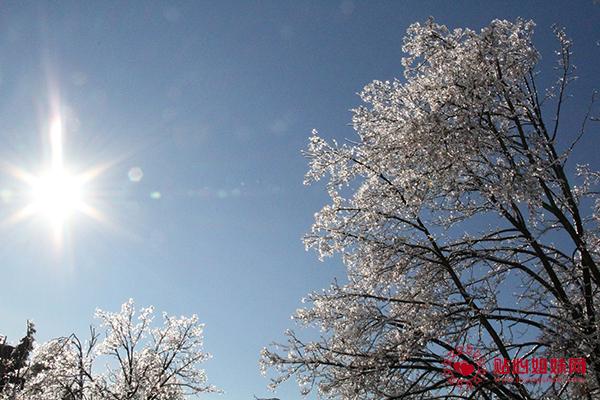 “让我们充满爱心和希望，并保持乐观”