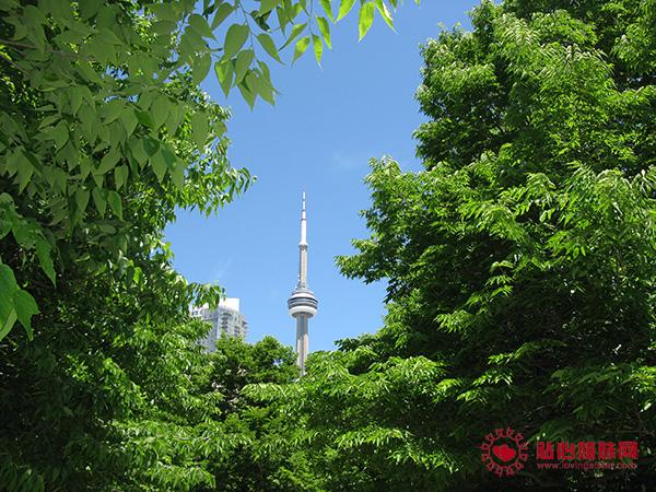 《纽约时报》推荐2016年最佳旅游目的地 多伦多名列第七