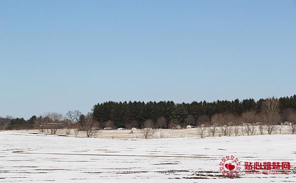 四月雪