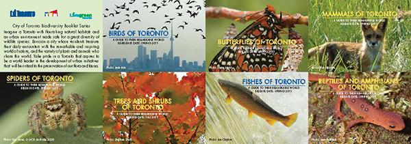多伦多市发布三本“生物多样性”系列书 自6月1日起公众可从图书馆获得