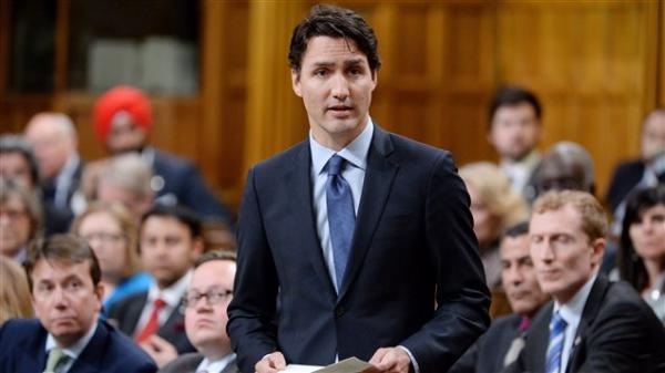 民调显示小特鲁多的“肘击门”未影响自由党支持率