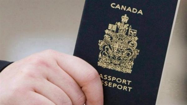 加拿大政府考虑设立中性 ID