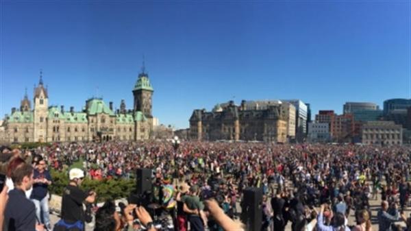 大麻合法化明年7月1日推出 允许每户种4棵