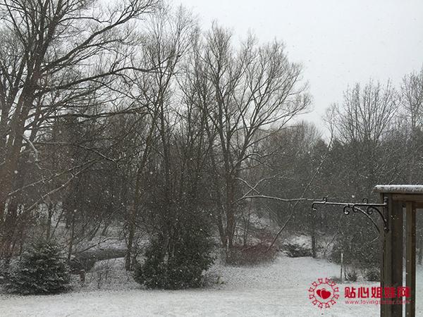 雪·大白兔