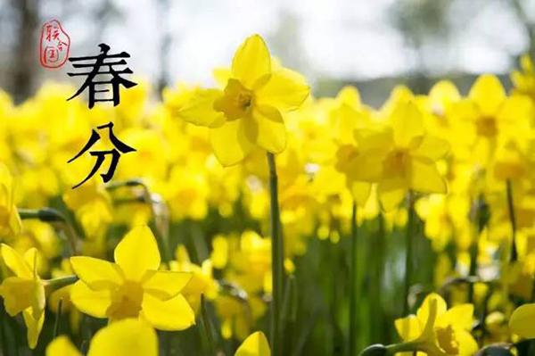 3月21日，联合国庆祝消除种族歧视国际日、国际森林日、国际诺鲁孜节、世界唐氏综合症日以及世界诗歌日
