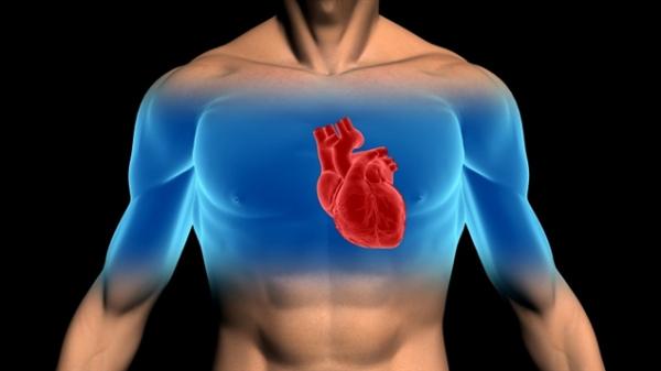 大多最健康：研究显示安省心血管疾病发病率因地区而异