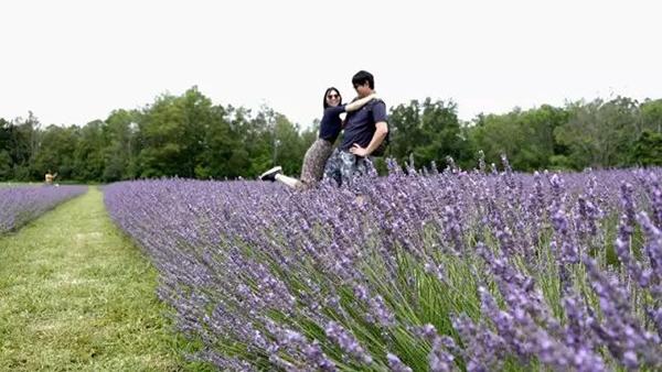 异地恋，是带刺的玫瑰，是集美好与痛苦于一体的存在