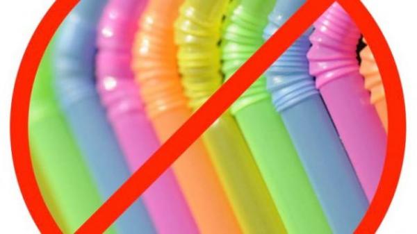 温哥华将禁止塑料吸管泡沫打包盒和泡沫杯：迈向零垃圾目标