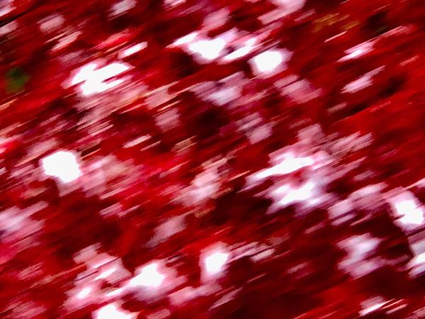 此情此景 Poetry from Heart（10）: 李子红