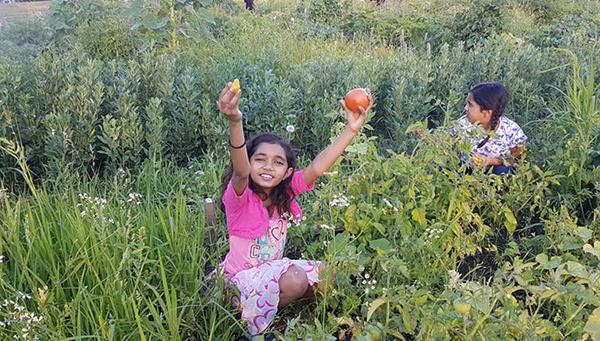 Growing a garden can also bloom eco-resilient, cross-cultural, food-sovereign communities