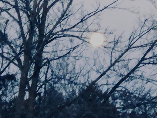 第三只眼睛（The Third Eye）（12）突围