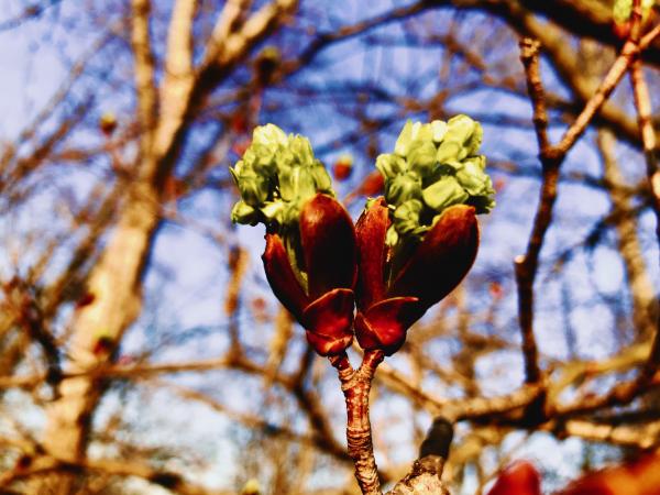 第三只眼睛（The Third Eye）（50）贴心姐妹