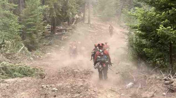 加拿大 BC 省野火增加到近 200 处，其他省份消防员纷纷支援